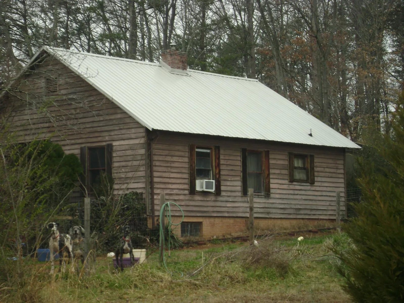 White metal roof on an old wood sided farmhouse, from a Asphalt Shingle Roof Repair job in Washburn